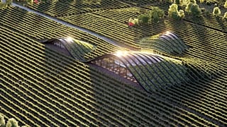 Shilda winery in Kakheti, Georgia