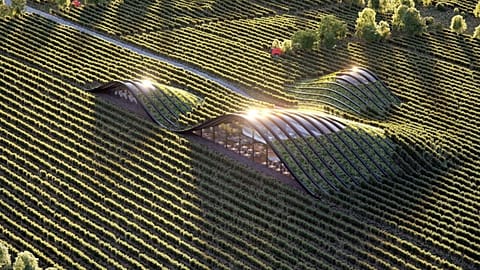 Shilda winery in Kakheti, Georgia