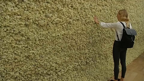 Feel, taste and smell it: New exhibition aims to stimulate your senses