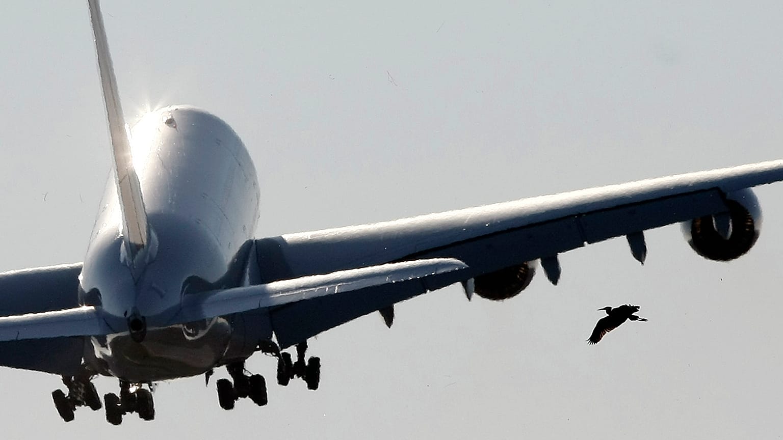 A new Airbus A380 aircraft of Air France KLM takes off following a hand-over ceremony at the manufacturer's site in Finkenwerder near Hamburg October 30, 2009