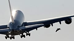 A new Airbus A380 aircraft of Air France KLM takes off following a hand-over ceremony at the manufacturer's site in Finkenwerder near Hamburg October 30, 2009