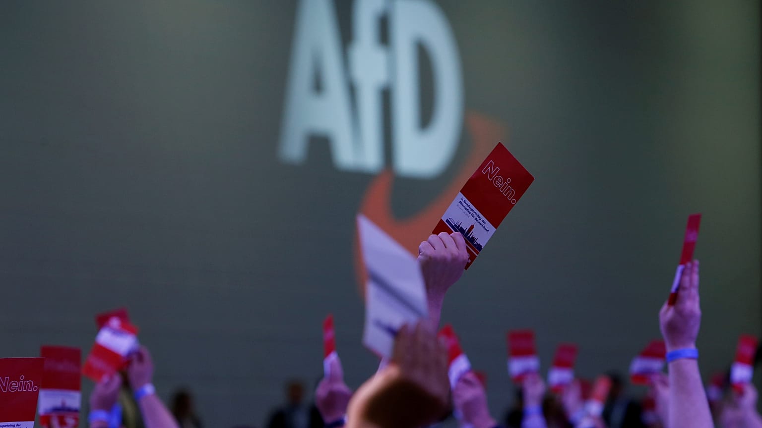 Spaltet sich die AfD? "Keine Björn-Höcke-Partei"