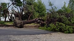 Χαλκιδική: Επτά νεκροί, δεκάδες τραυματίες και ανυπολόγιστες καταστροφές
