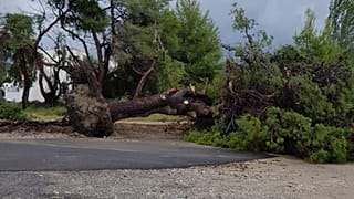 Χαλκιδική: Επτά νεκροί, δεκάδες τραυματίες και ανυπολόγιστες καταστροφές
