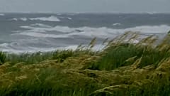 La Louisiane se prépare à affronter l'ouragan Barry