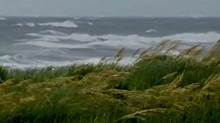 La Louisiane se prépare à affronter l'ouragan Barry