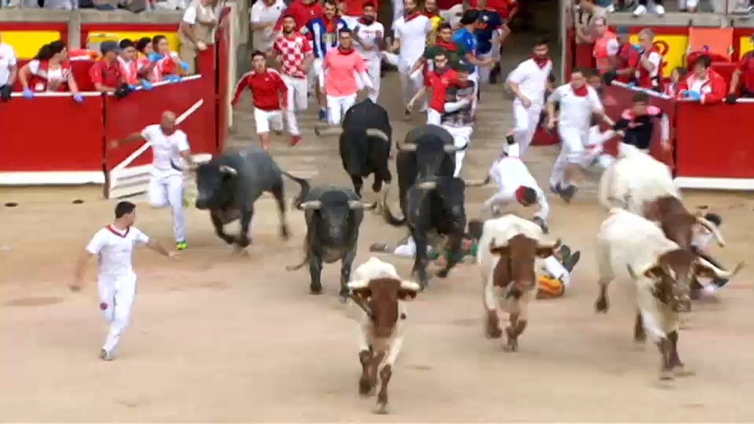 El colosal astado Rabanero siembra el pánico en las calles de Pamplona