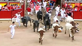 San Fermin : huit "encornés" à Pampelune