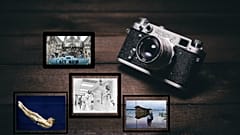 شهر فرنگ؛ از قوهای ملکه بریتانیا تا مدل نقاشی در ایستگاه اتوبوس تل‌آویو