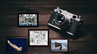 شهر فرنگ؛ از قوهای ملکه بریتانیا تا مدل نقاشی در ایستگاه اتوبوس تل‌آویو