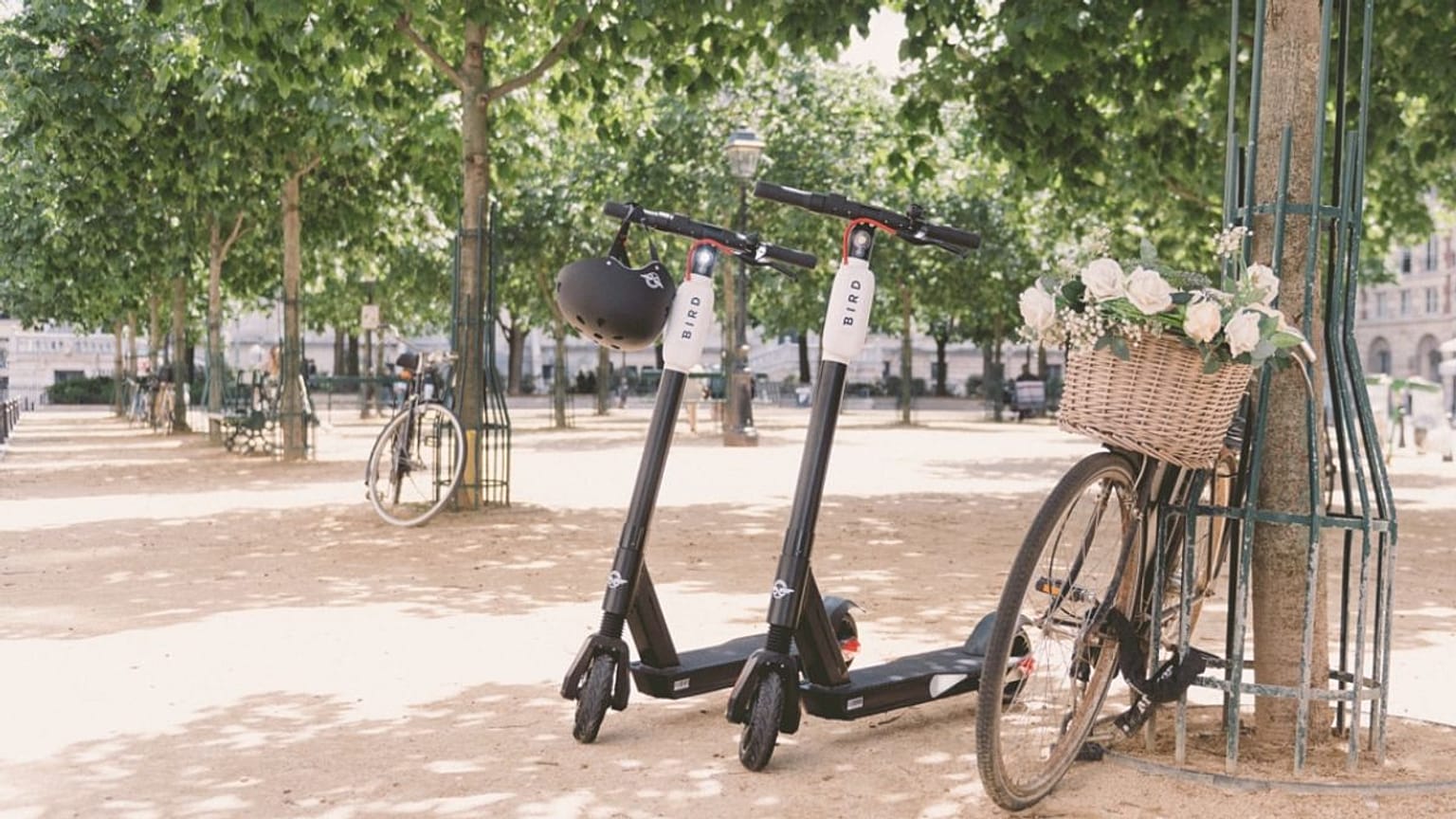Bird e-scooters