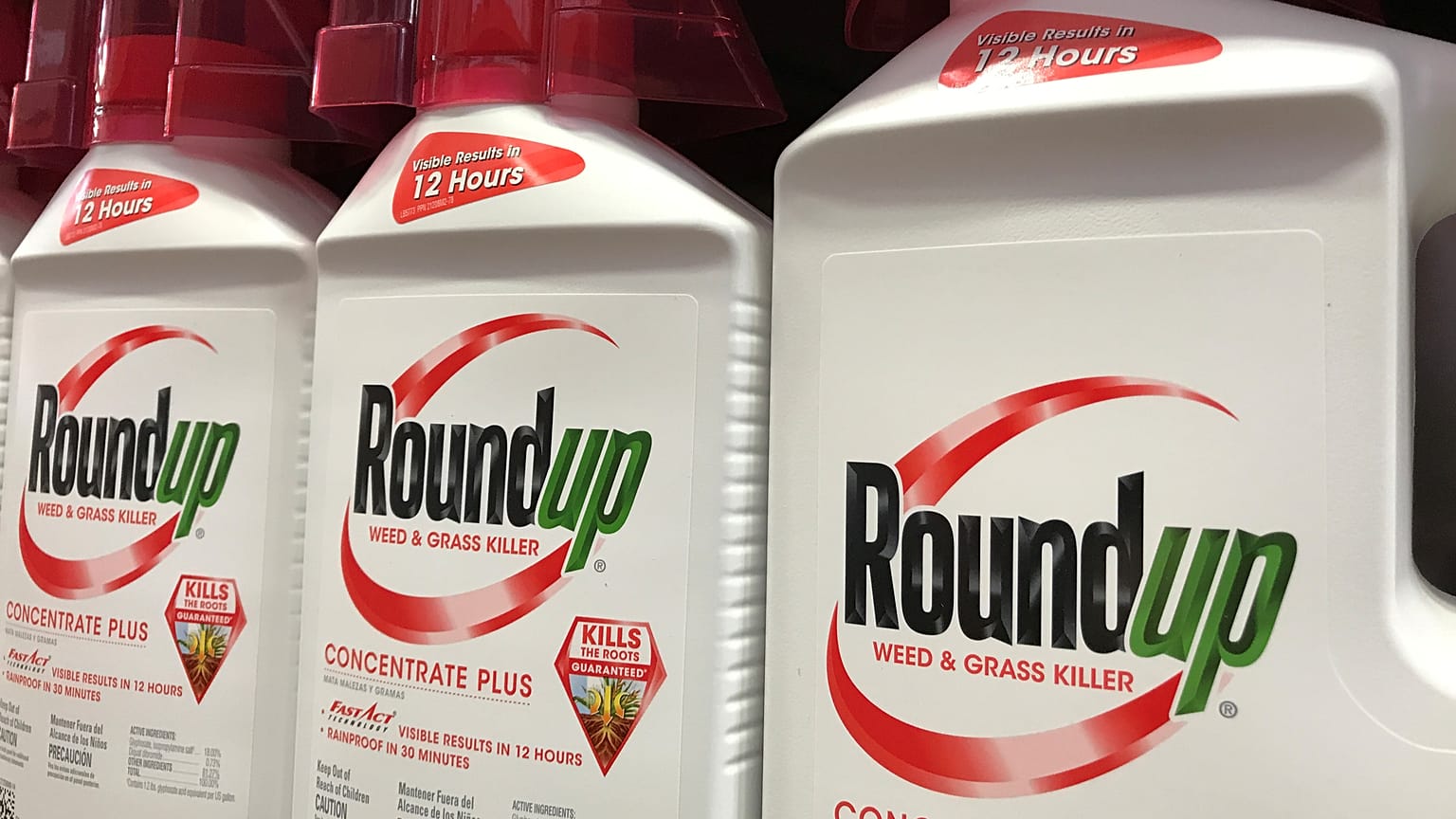 Monsanto: meno risarcimento, ma condanna confermata