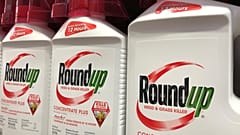 Monsanto: meno risarcimento, ma condanna confermata