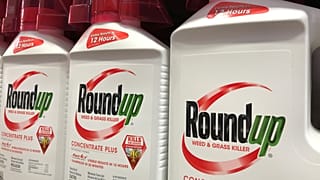 Monsanto: meno risarcimento, ma condanna confermata