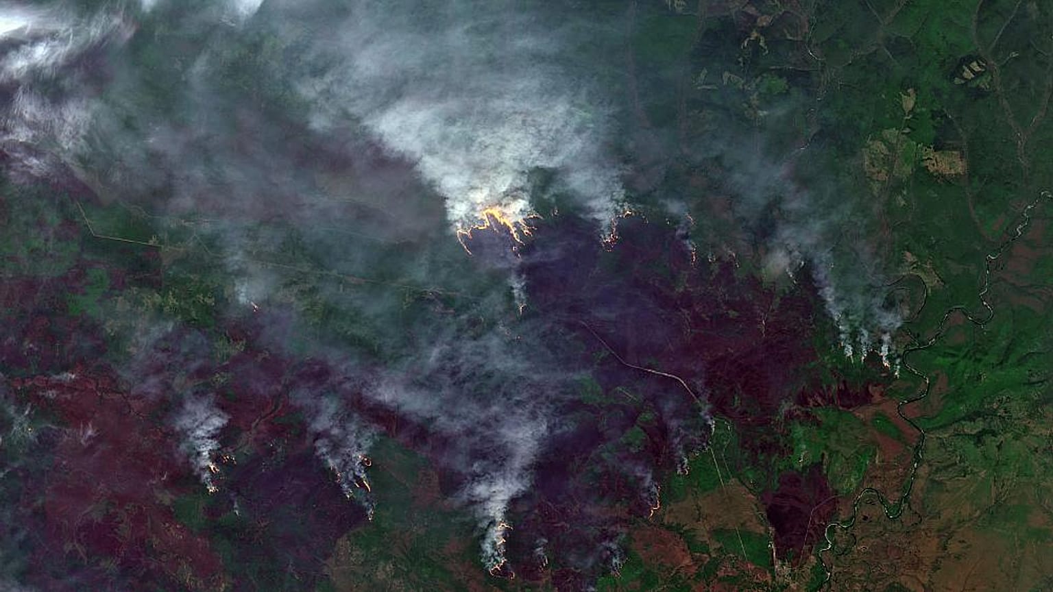 "Soviel CO2 wie Schweden in einem Jahr": Waldbrände in der Arktis sorgen für hohe Emissionen