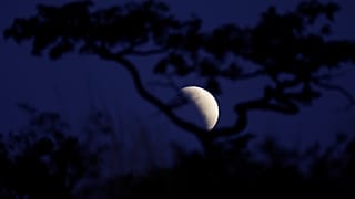 A moon is seen during a partial lunar eclipse in Brasilia