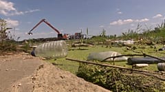 Limpieza, reciclaje y ecoturismo en el lago Tisza, en Hungría 