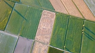 Hommage à Apollo 11 : un portrait géant de Neil Armstrong apparaît en Italie