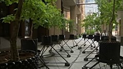 Wegen "Klimakollaps": Eichen-Kunstprojekt in London