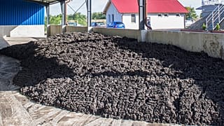 A kép illusztráció