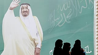 Suudi Arabistan'da Amerikalı kadın, bikinili fotoğrafları nedeniyle kızının velayetini kaybetti
