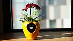 The planter's face conveys a range of emotions