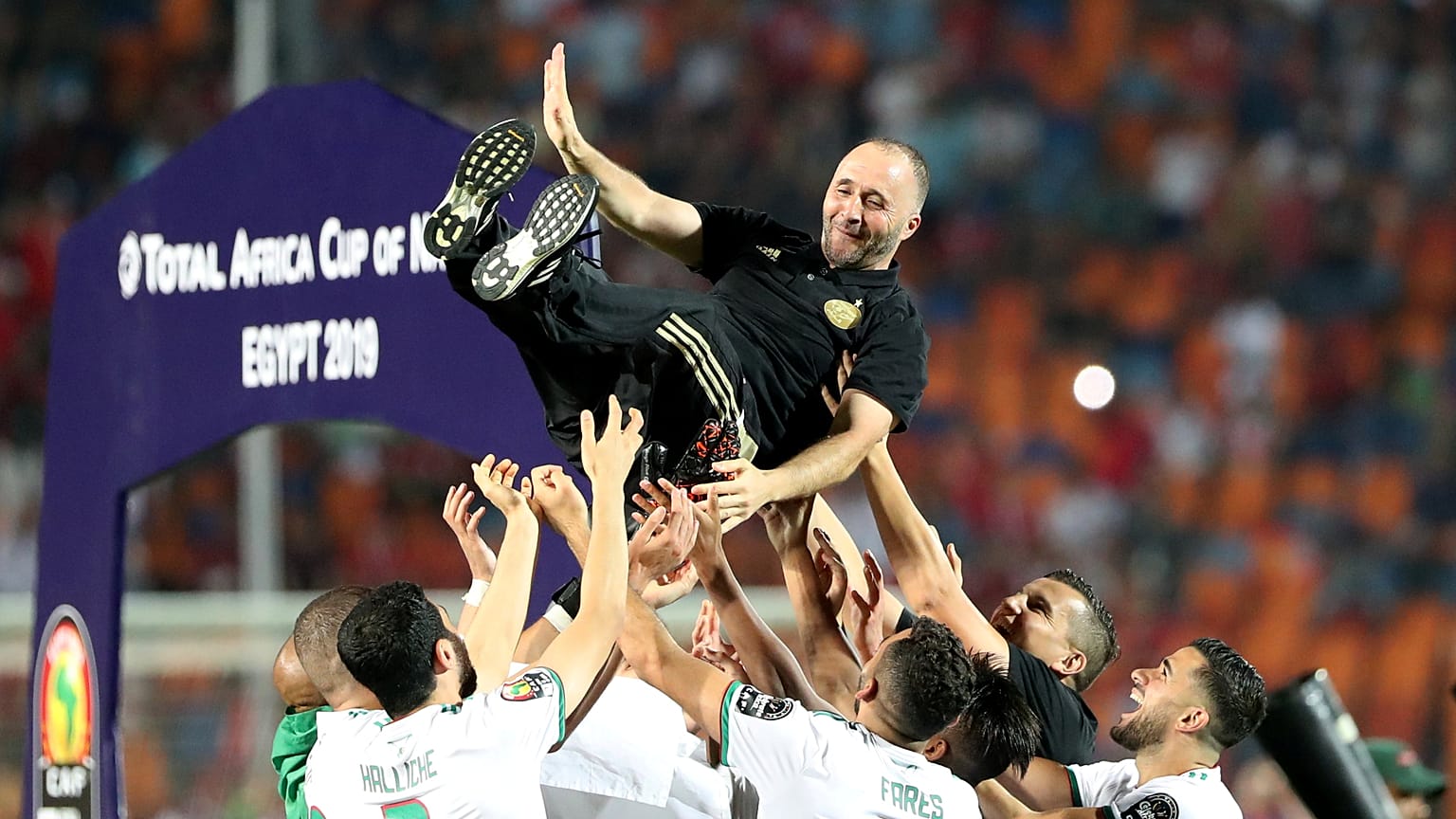 Djamel Belmadi, ct dell'Algeria, festeggiato dai suoi giocatori.