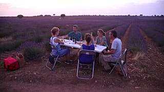 Il miracolo economico - e turstico - della lavanda di Guadalajara 