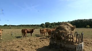 Во Францию возвращается жара
