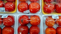 Tomatoes wrapped in several layers of plastic