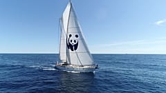 Αποστολή στη Ζάκυνθο με το WWF: «Όχι στις εξορύξεις πετρελαίου στο Ιόνιο »