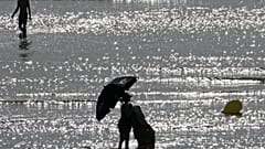 Europe heatwave: UK could break all-time temperature record