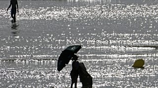 Europe heatwave: UK could break all-time temperature record