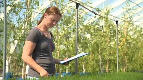The Brief: Finland works towards goal of carbon neutrality by 2035