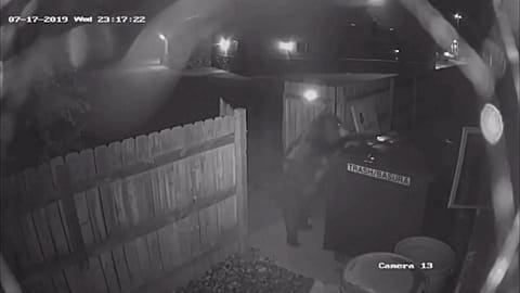 Bear steals bin from Colorado marijuana dispensary
