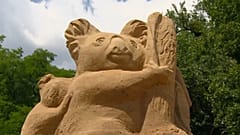 The exhibition features sculptures of endangered Australian koala bears