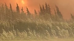 Réchauffement climatique : un cercle vicieux 