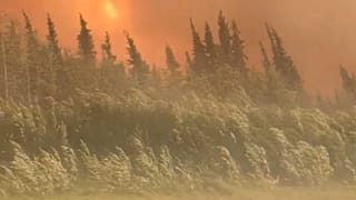 Réchauffement climatique : un cercle vicieux