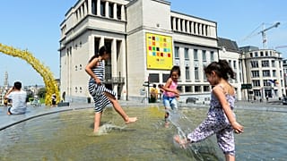Vague de chaleur à Bruxelles