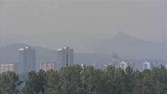Incêndios na Sibéria ameaçam saúde