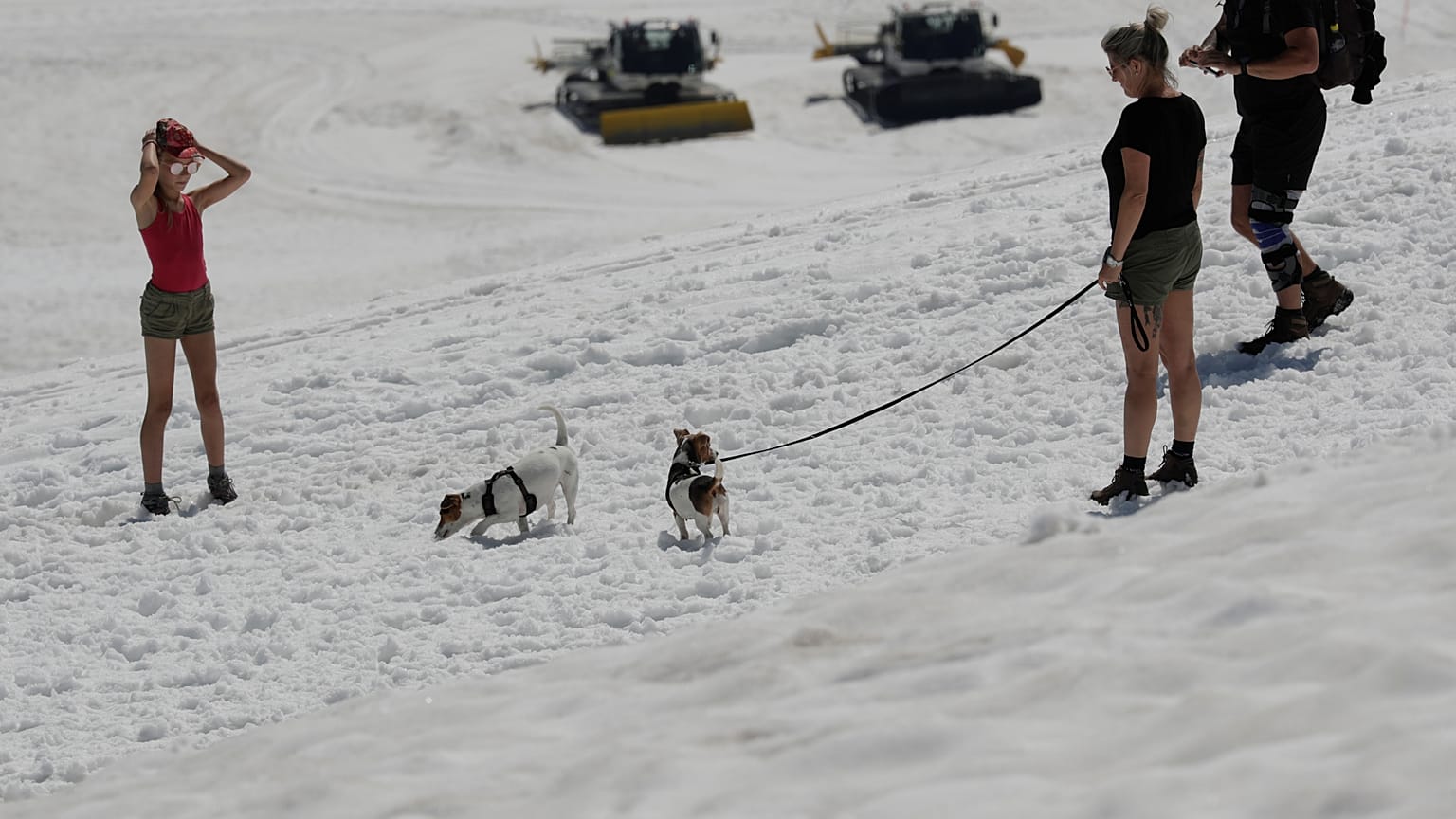 En quête de fraîcheur au sommet du glacier du Dachstein