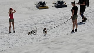 En quête de fraîcheur au sommet du glacier du Dachstein