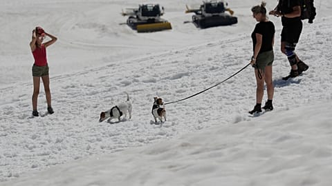 Спасение от жары на леднике