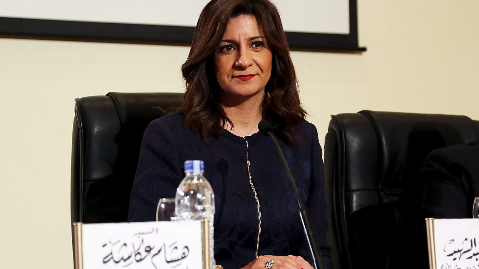 Mısırlı bakan 'muhaliflerin boğazı kesilmeli' sözlerine açıklık getirdi