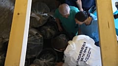 Especialistas forenses avaliam sacos no cemitério teutónico do Vaticano