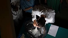 El CSI vaticano busca a Orlandi