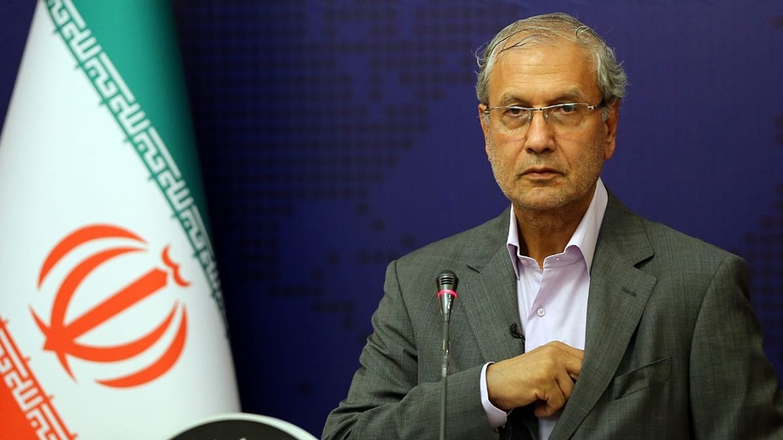 علی ربیعی، سخنگوی دولت ایران