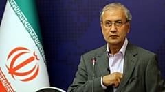 علی ربیعی، سخنگوی دولت ایران