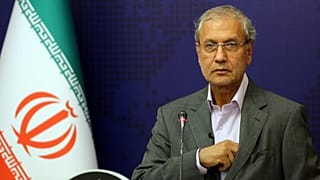 علی ربیعی، سخنگوی دولت ایران
