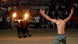Toro embolado en Amposta, Cataluña